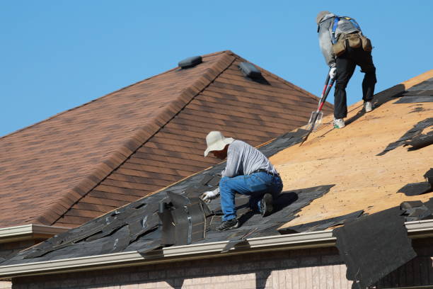 Best Roof Insulation Installation  in Westmont, IL